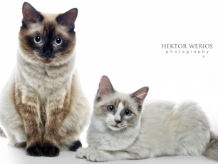 Fotografia Hektor Werios
