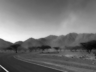 Fotografia - Hektor Werios